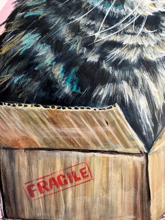 Cut In A Box Cutout #1