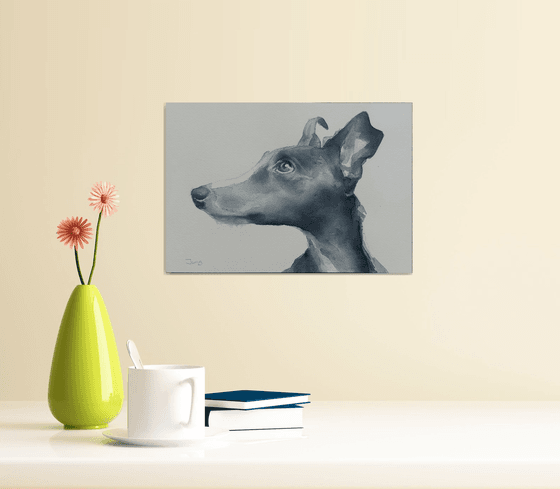 Fetch - dog portrait