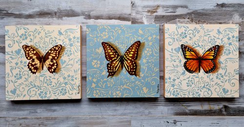 Butterfly Triptych by Priyanka Singh