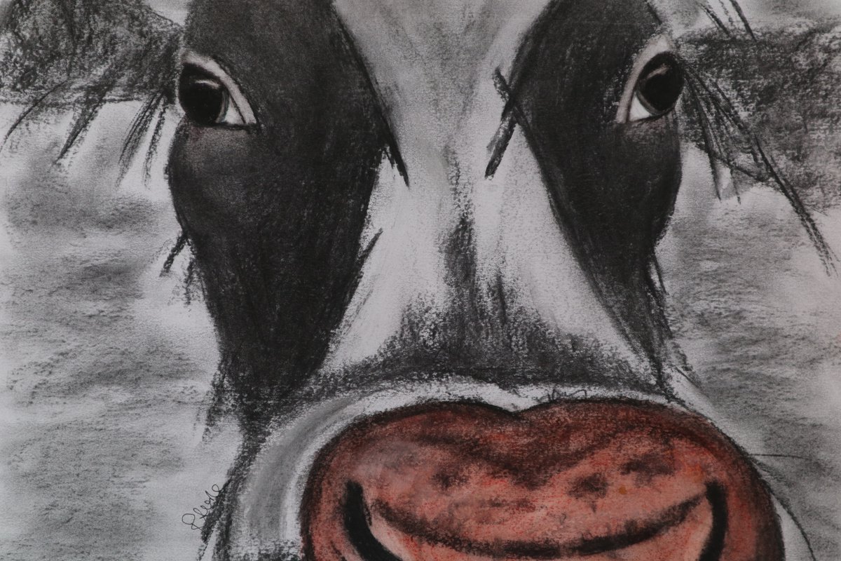 Cow Portrait by Ruth Searle