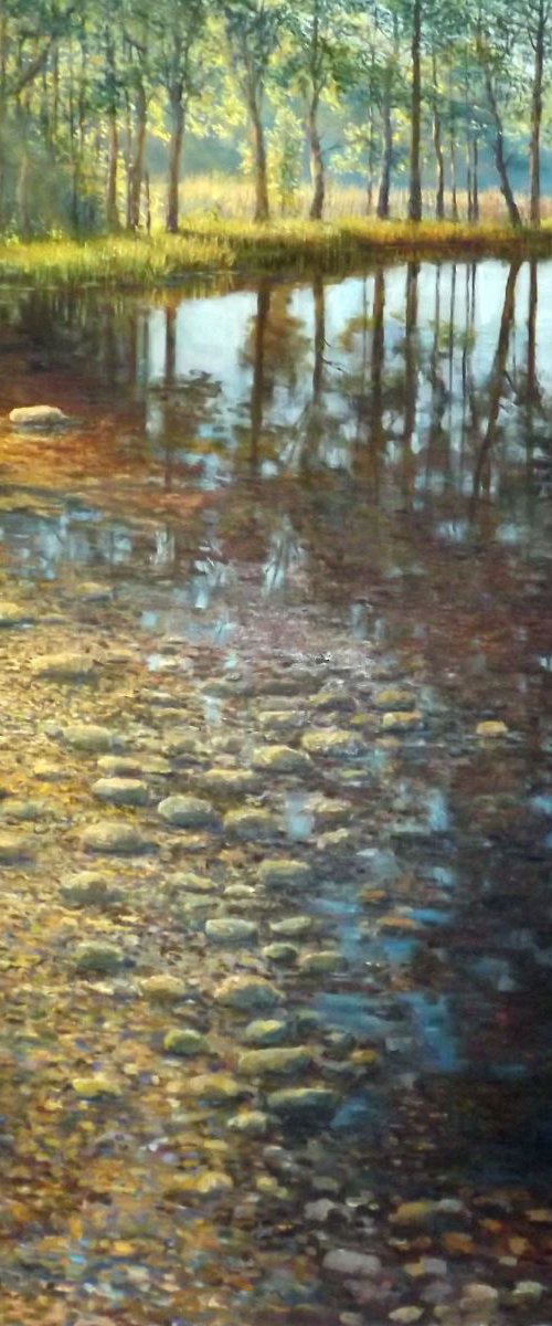 Forest Creek 2 by Oleg Riabchuk
