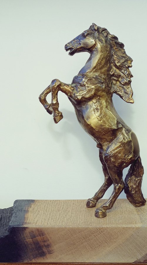 The Last Horse by Nikolay Nedev