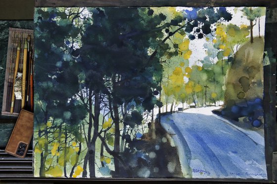 Road through sparkling forest