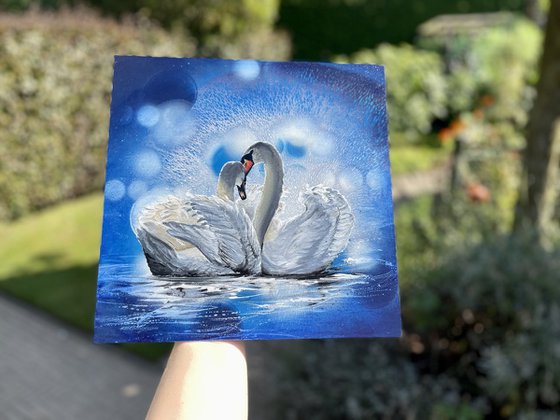 Bird #11 ( 2 swans)