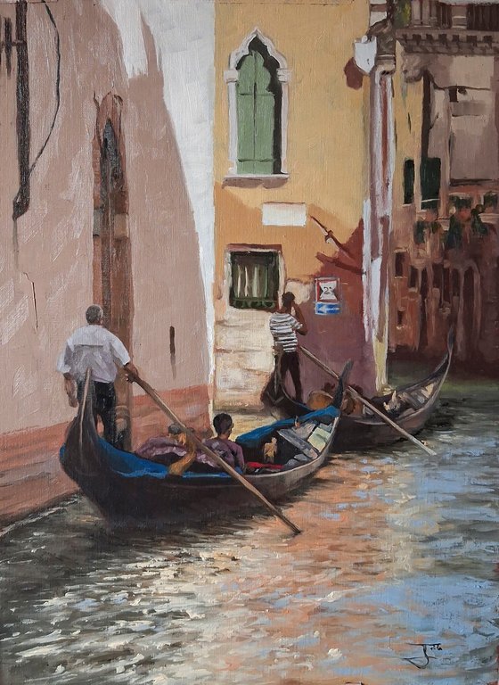 Meandering flow of Venezia