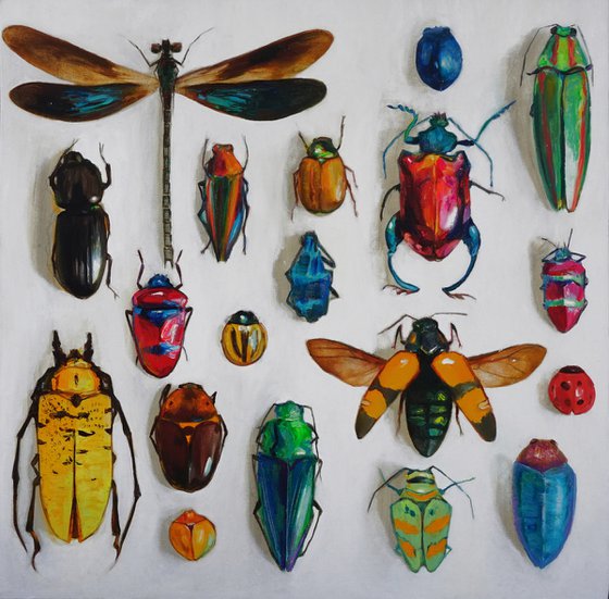 "Entomological insect collection №2" Painting by Anastasia Balabina Original oil painting