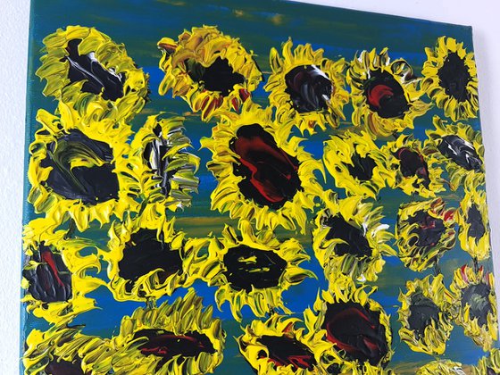Blooming sunflowers 4