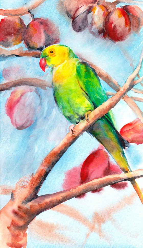 Parakeet painting, parakeet in watercolour, Original Watercolour Bird painting, Vibrant, Bright wall art