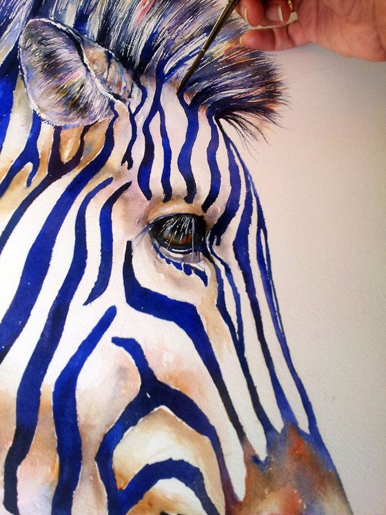 Zebra in Blue