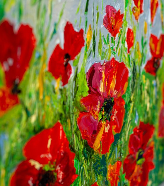 Poppies