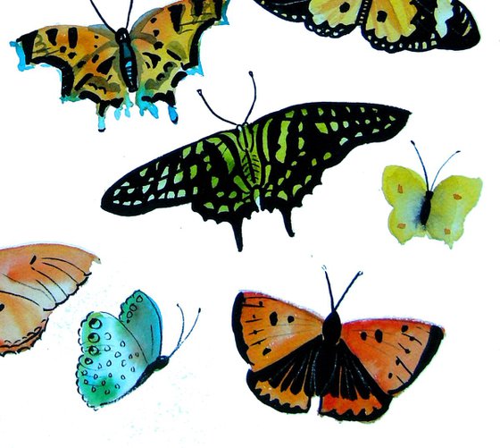 Glorious Butterflies