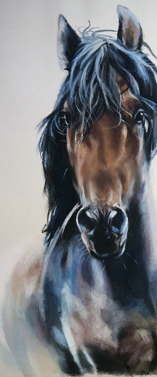 Wild Horse by Magdalena Palega