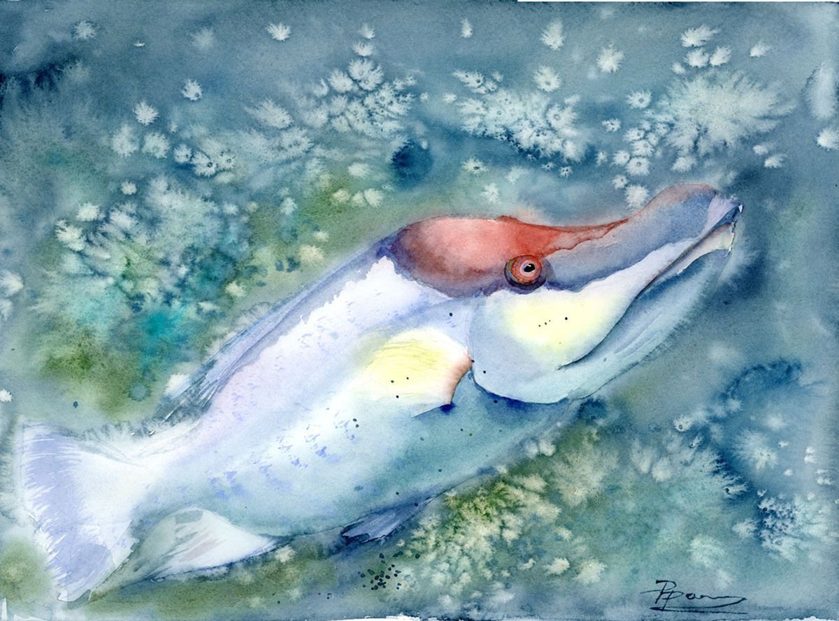 Impressionistic Animal Watercolour By Olga Tchefranov (Shefranov), 14 X 10", The Fish In Water, Original Artwork