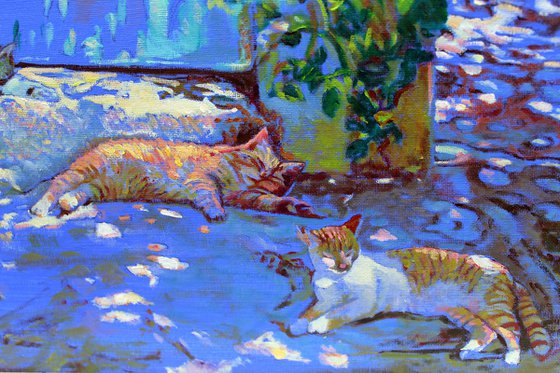Kitty’s in Provence #1