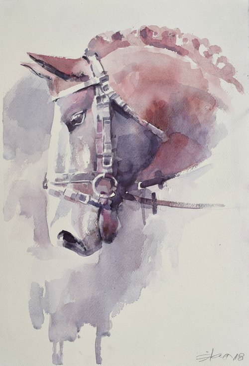 Horse head 3 by Goran Žigolić Watercolors
