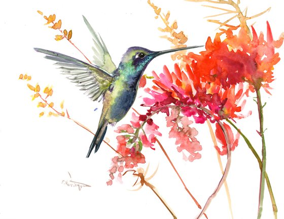 Hummingbird and red flowers