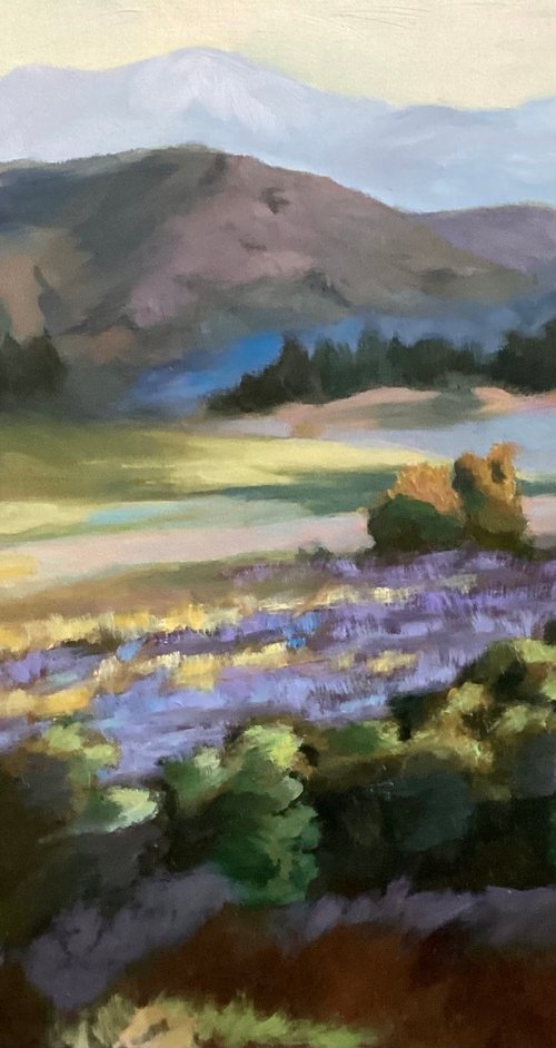 Weir Canyon by Grace Diehl