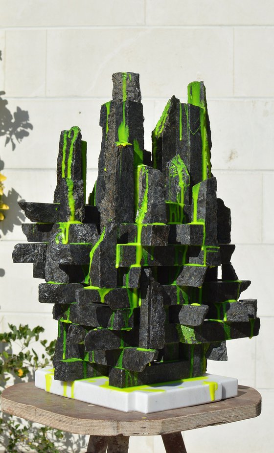 "Brazil Rainforests"