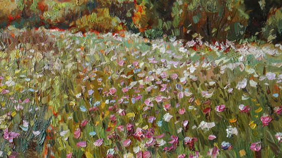 The Wildflower Rhapsody