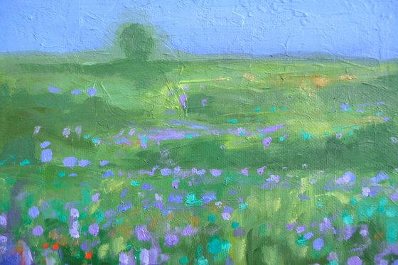 over the flower field