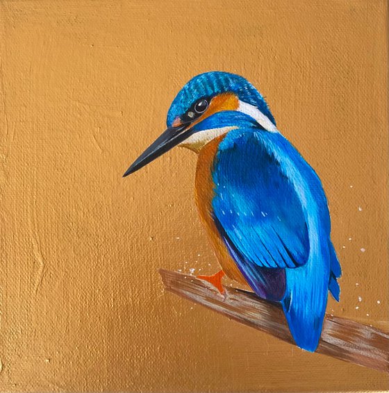 Kingfisher acrylic painting on gold background