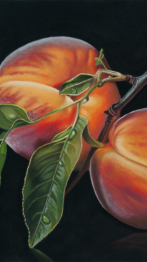 Peaches and Twig by Dietrich Moravec