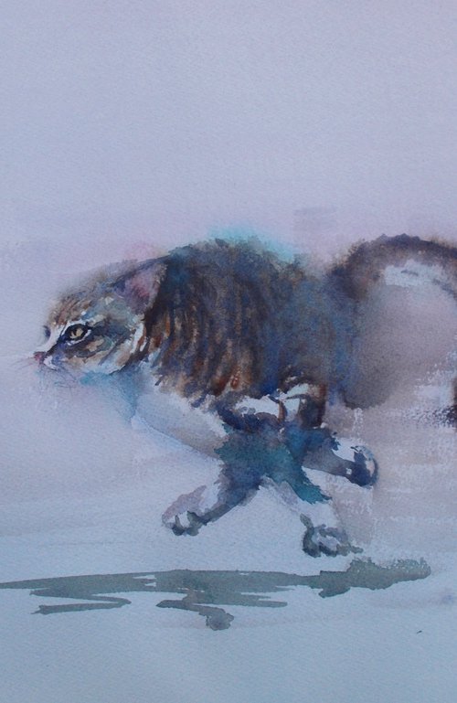 running cat 2 by Giorgio Gosti