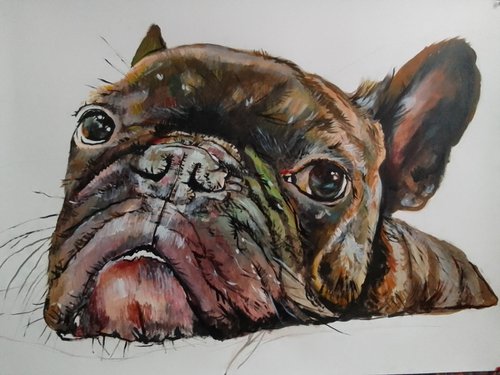 French Bulldog by Soso Kumsiashvili