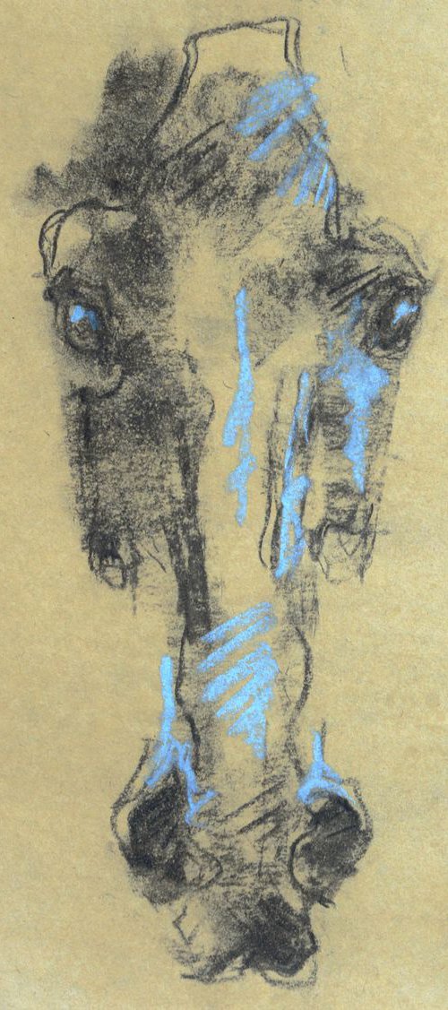 Sketch 375 by Benedicte Gele