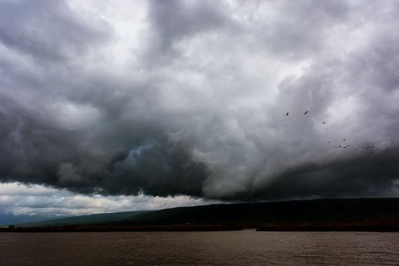 The Hula Valley #1 | Limited Edition Fine Art Print 1 of 10 | 75 x 50 cm