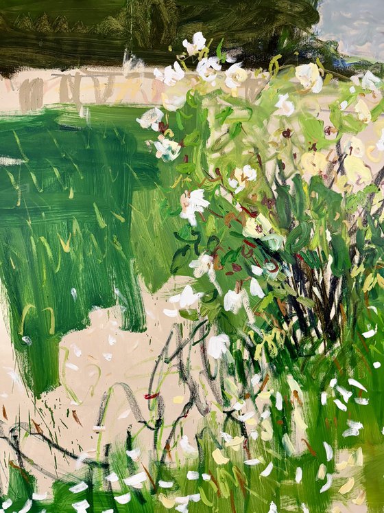 The white rose bush.