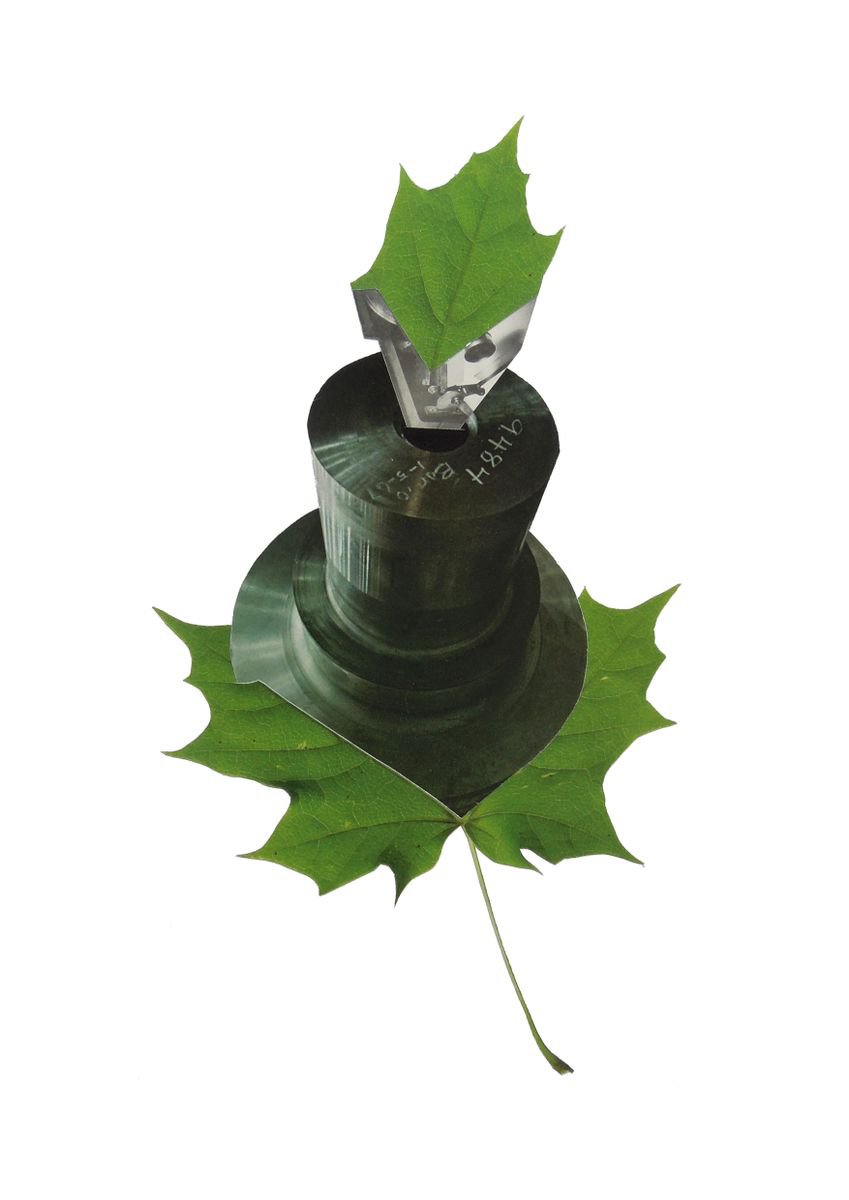 Botanical Collage By Benjamin West, 12 X 17, Leaf 3, Original Artwork