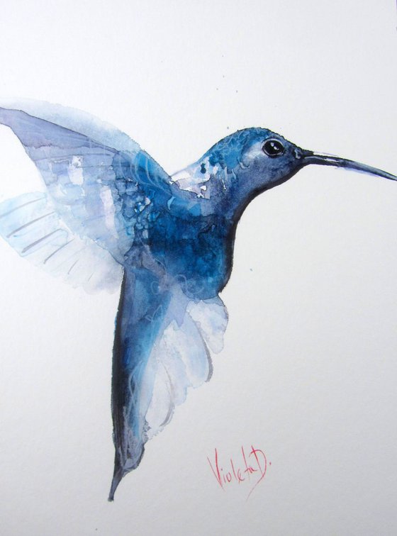 Hummingbird 16