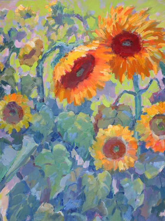 The Sunflower Family