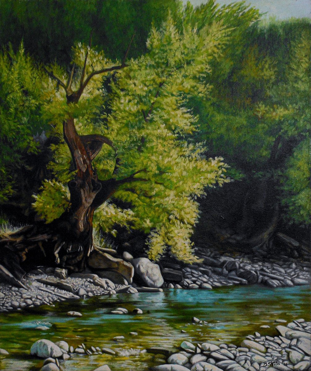 The River by Bledi Kita