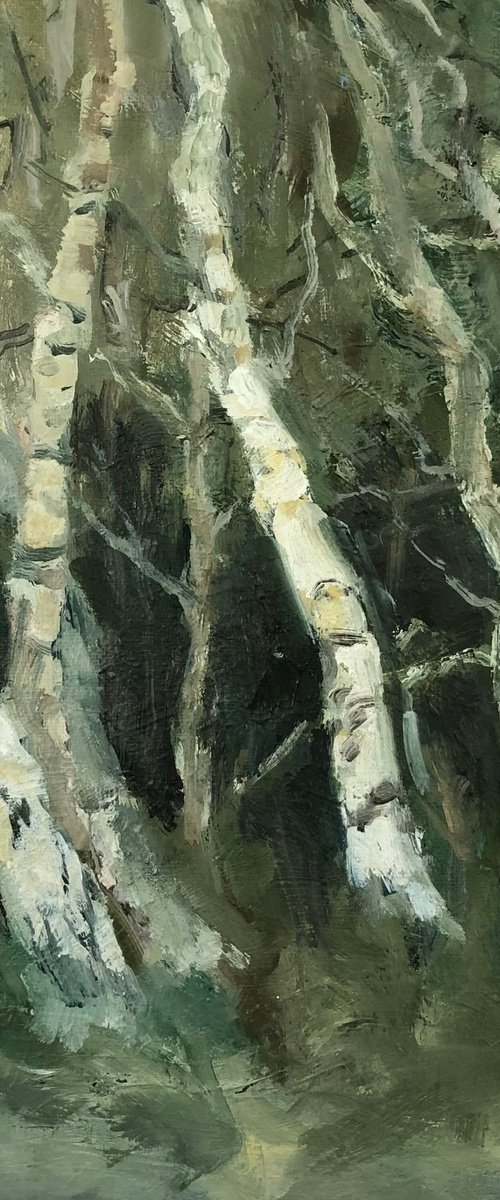 finding light by Joanna Farrow
