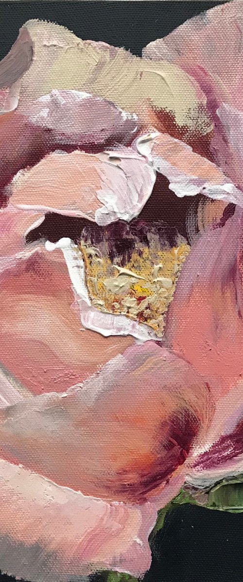 PEONY IN PINK by Oksana Petrova