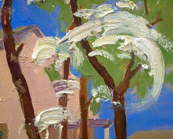 The trees are in bloom