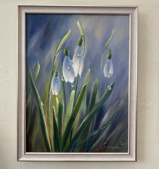 Snowdrops