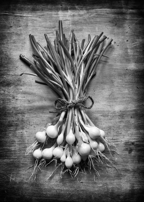 Spring Onions by Stephen Hodgetts Photography