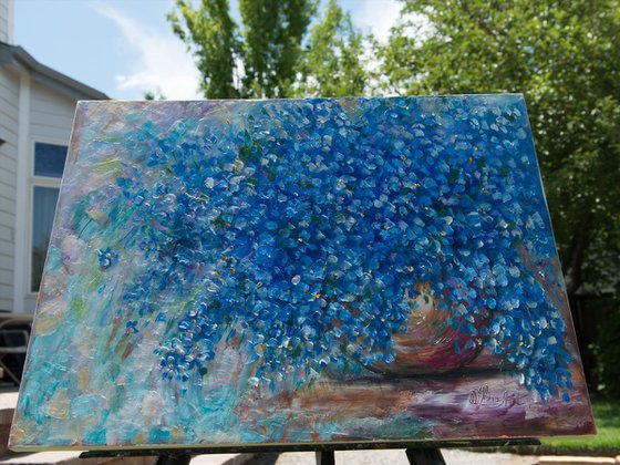 Forget Me Nots