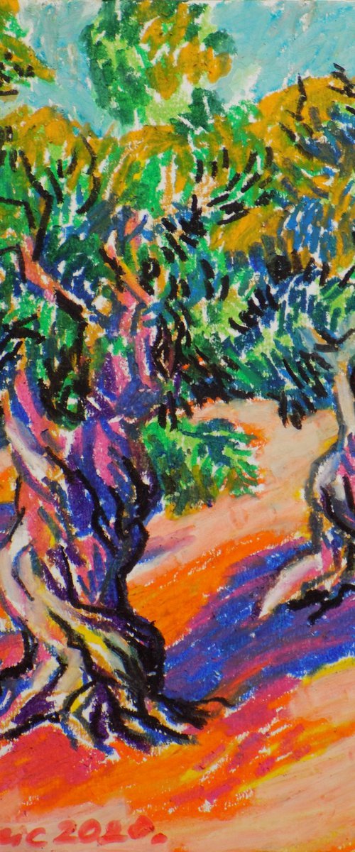 Olive grove No 18 by Maja Grecic