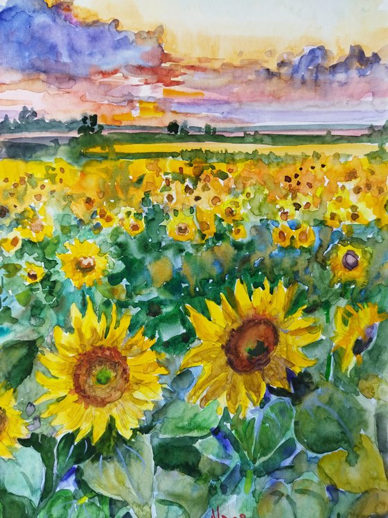 Landscape with sunflowers