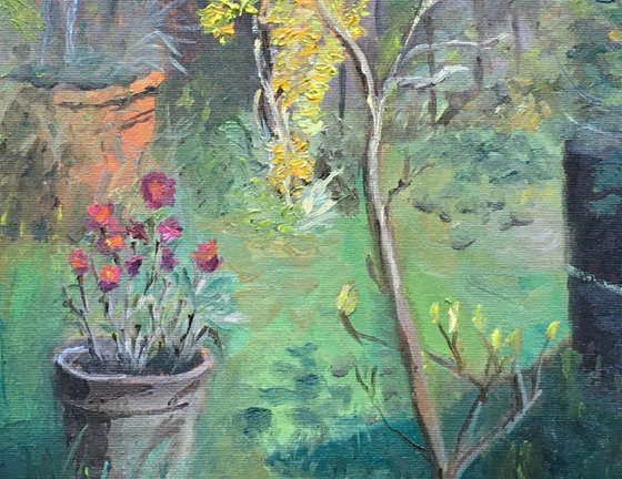 Garden Sunshine - an original oil painting by Julian Lovegrove