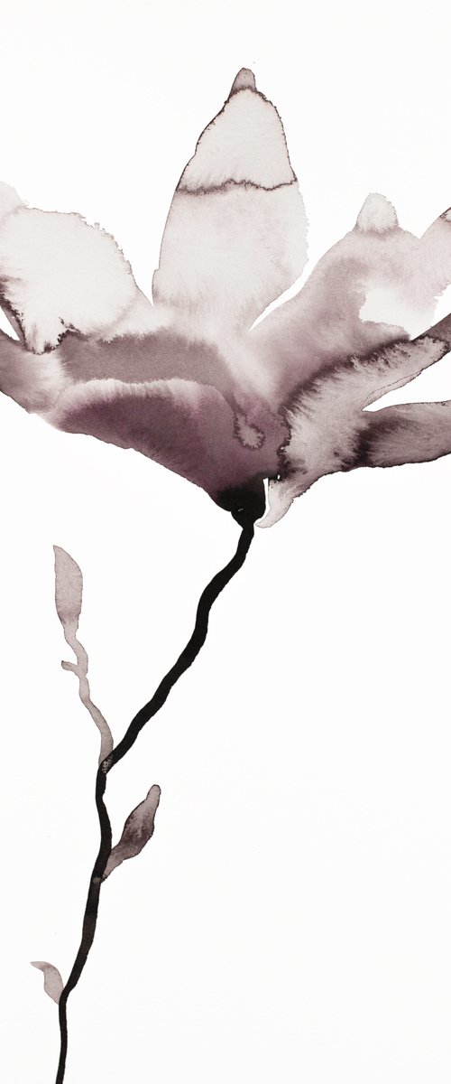 Magnolia No. 44 by Elizabeth Becker
