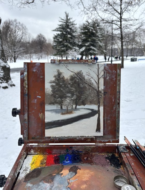 Snow in Prospect Park