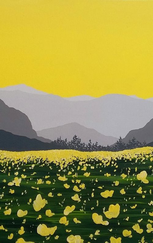Buttercups in Borrowdale, The Lake District by Sam Martin