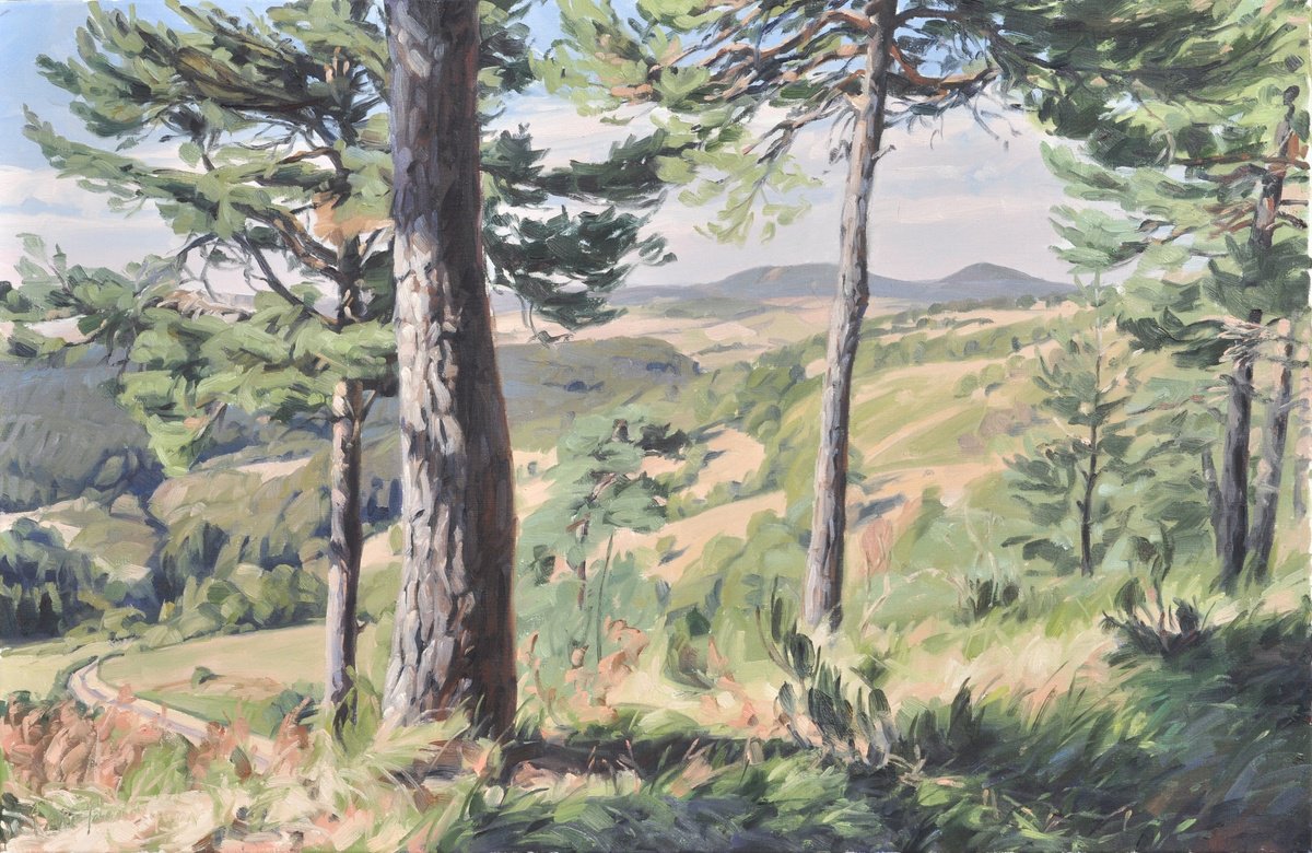 Impressionistic Landscape Oil Painting By Anne Baudequin, 36 X 24, Mezenc, Late Summer, Original Artwork