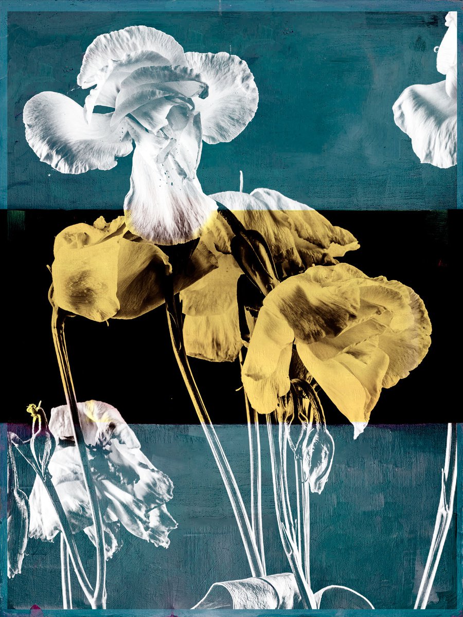 Botanical Painting By Teis Albers, 35 X 47", ????????????????????????????, Original Artwork