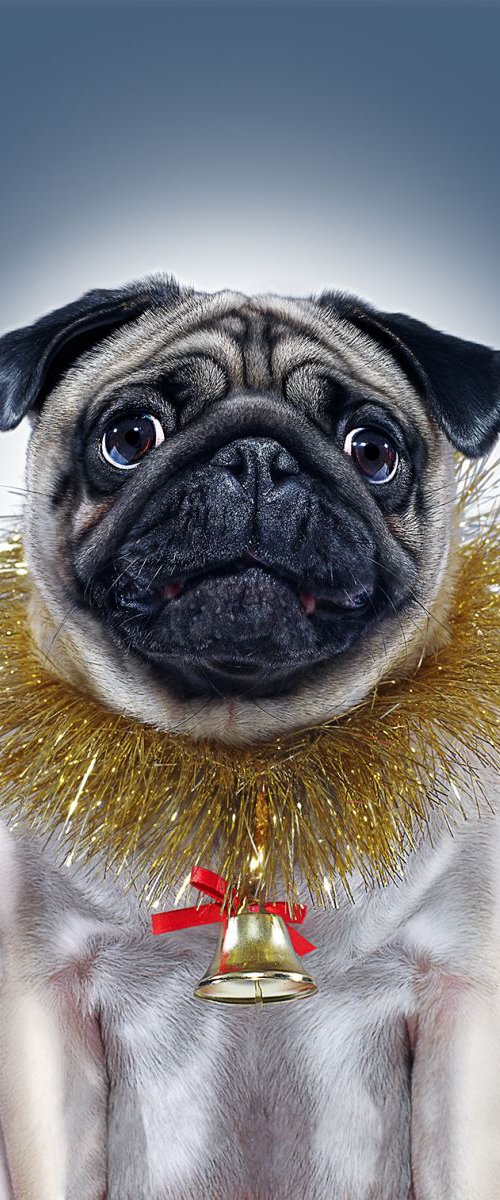 Puggy Christmas by Gandee Vasan